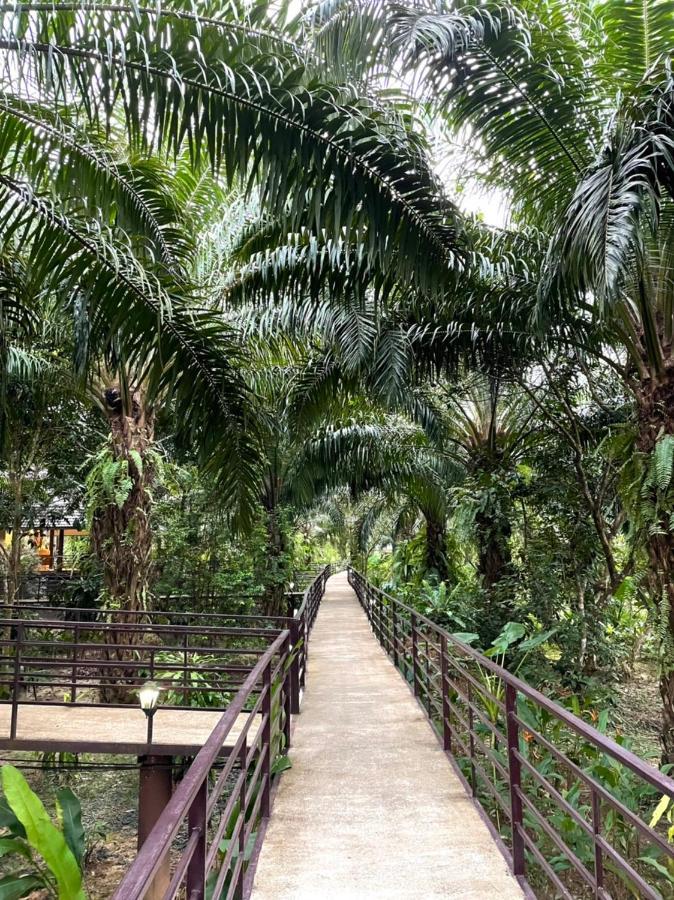 Khaosok Good View Resort - Sha Plus Khao Sok National Park Exterior foto